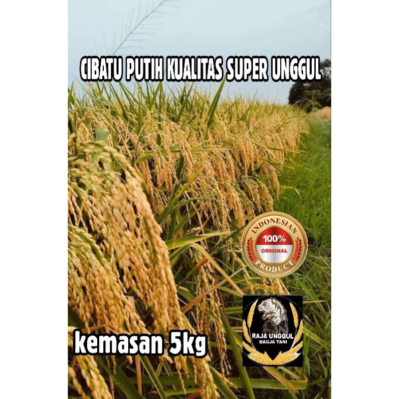 

COD KEMASAN 5 KG CIBATU PUTIH KUALITAS SUPER UNGGUL