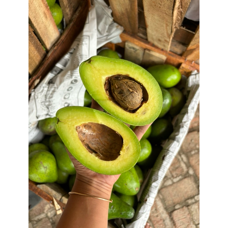 

Alpukat mentega kediri super 1kg isi 3-4-5