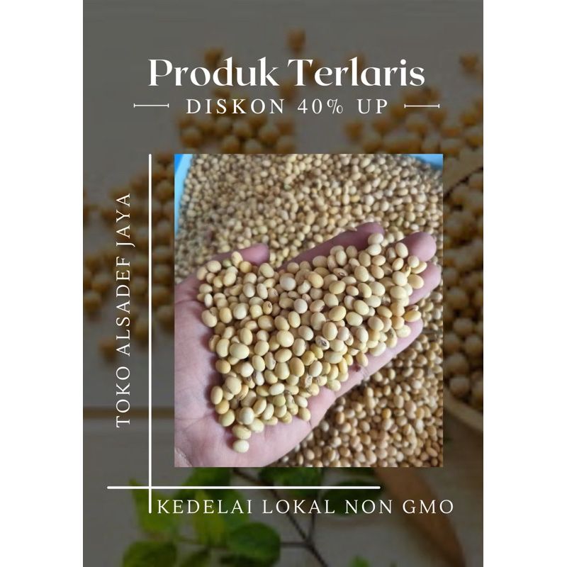 

KEDELAI LOKAL | KEDELAI PUTIH TAHU TEMPE | KEDELAI PUTIH NON GMO | KEDELAI VARIETAS GROBOGAN