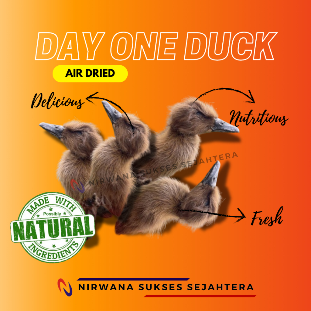 

TETASAN ANAK BEBEK KERING / DEHYDRTAED, AIR DRIED DAY ONE DUCK. CHEWS, TREATS, DENTAL CARE, SNACK FROM 100% NATURAL INGRADIENT NO ADDITIVE FOR DOG