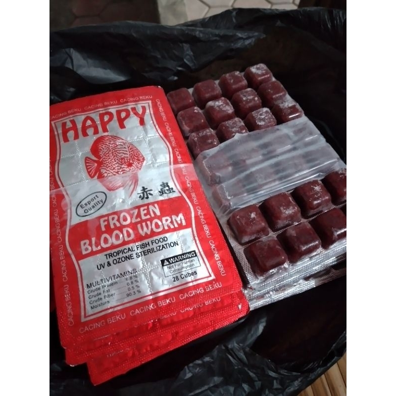 cacing beku cacing darah bloodworm