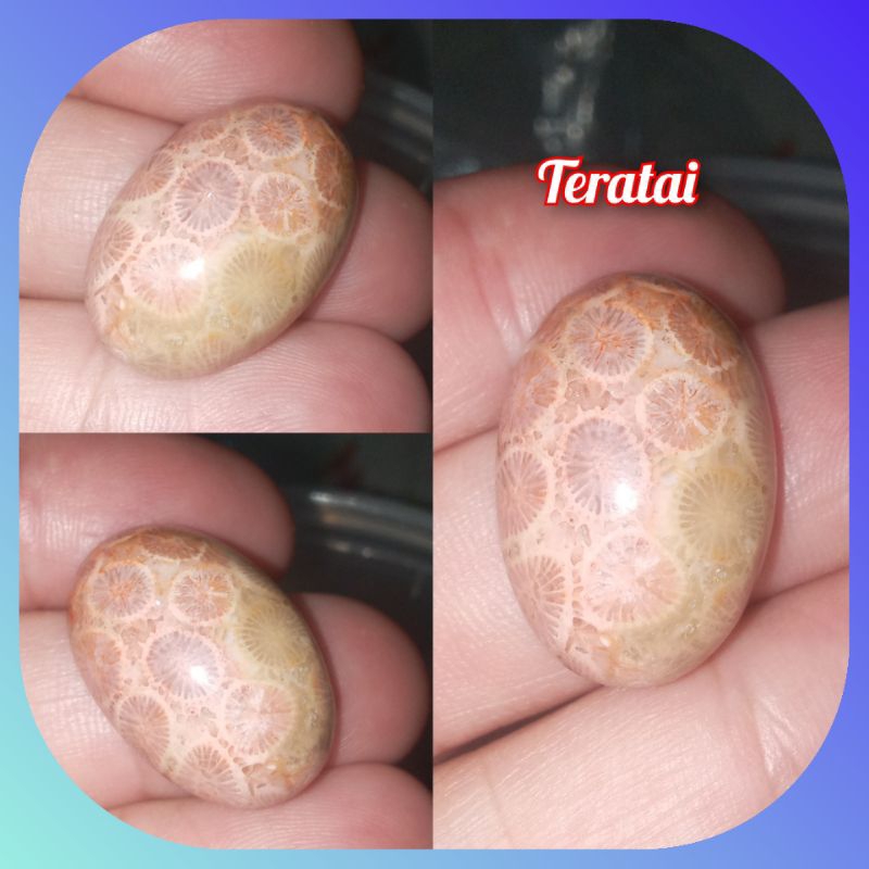 Batu Akik Teratai Asli Batu Cincin Natural