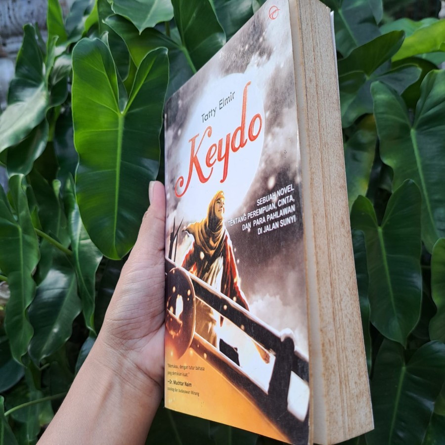 Novel Keydo Tatty Elmir/ Buk Novel Keydo by Tatty Elmir