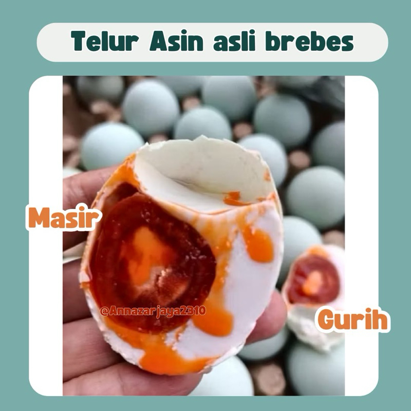 

TELUR ASIN ASLI BREBES