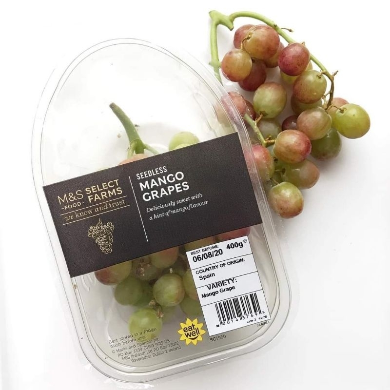 

BIBIT ANGGUR IMPORT MANGGO