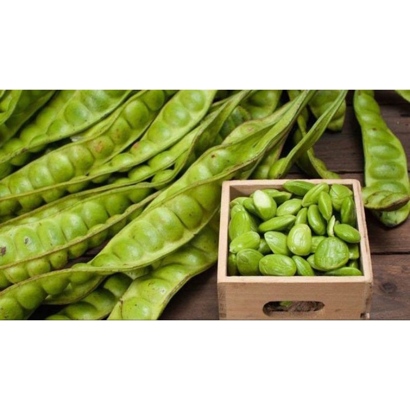 

PETE KUPAS PETE TUA PREMIUM FRESH 250gr