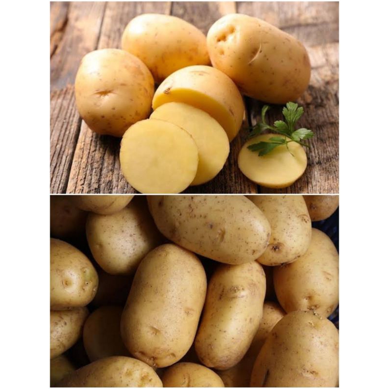 

Kentang Fresh 1 Kilo