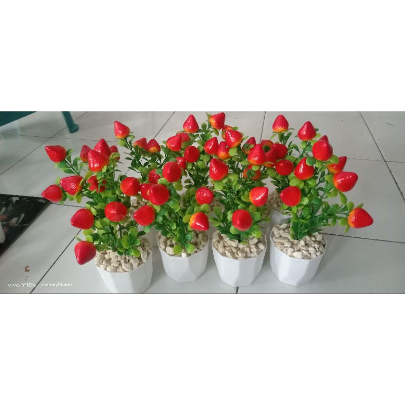 hiasan buah strawberry pot segi6