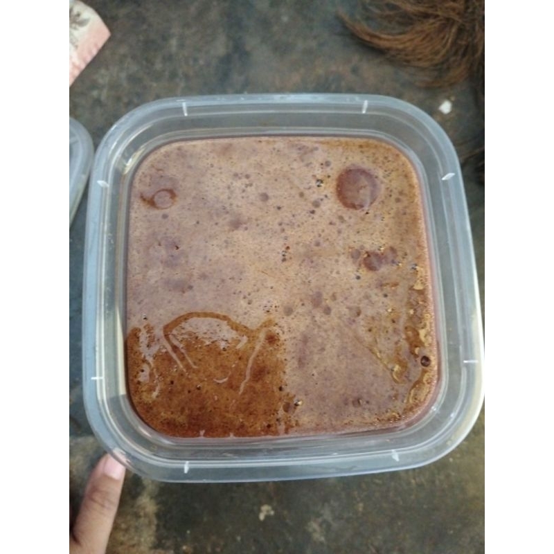 

PETIS IKAN TONGKOL