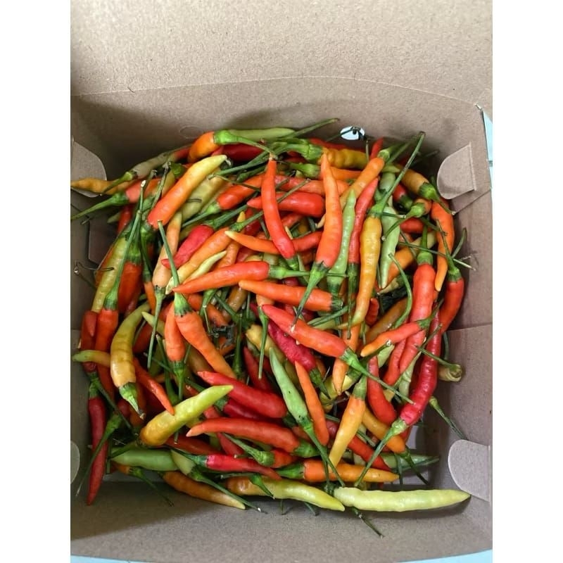 

CABE RAWIT SEGAR 1KG || CABE RAWIT FRESH || CABE RAWIT MERAH