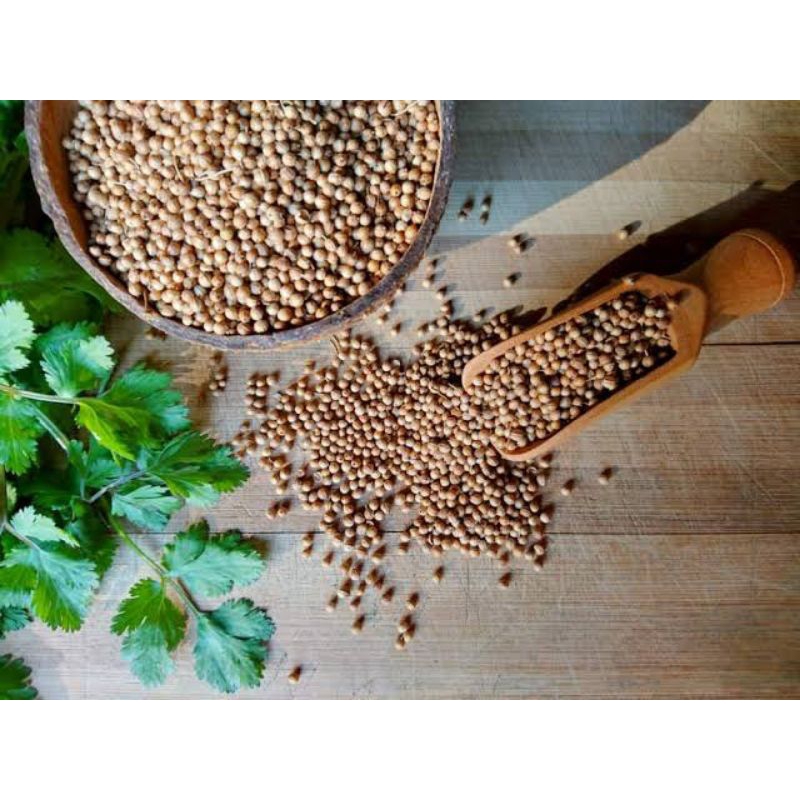 

rempah-rempah Indonesia Corriander seeds/biji ketumbar
