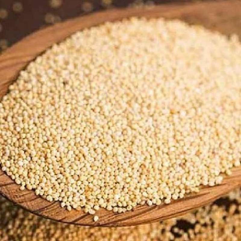 

Kas Kas Kaskas Kaca Kace Aceh Poppy Seed Bumbu Masakan Rempah