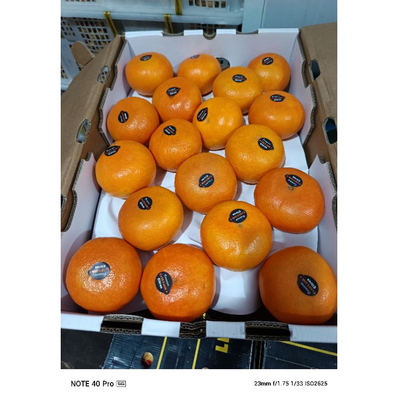 

JERUK MURCOT CITRUS MANDARIN ISI 36 BERAT 9KG FRES MANIS