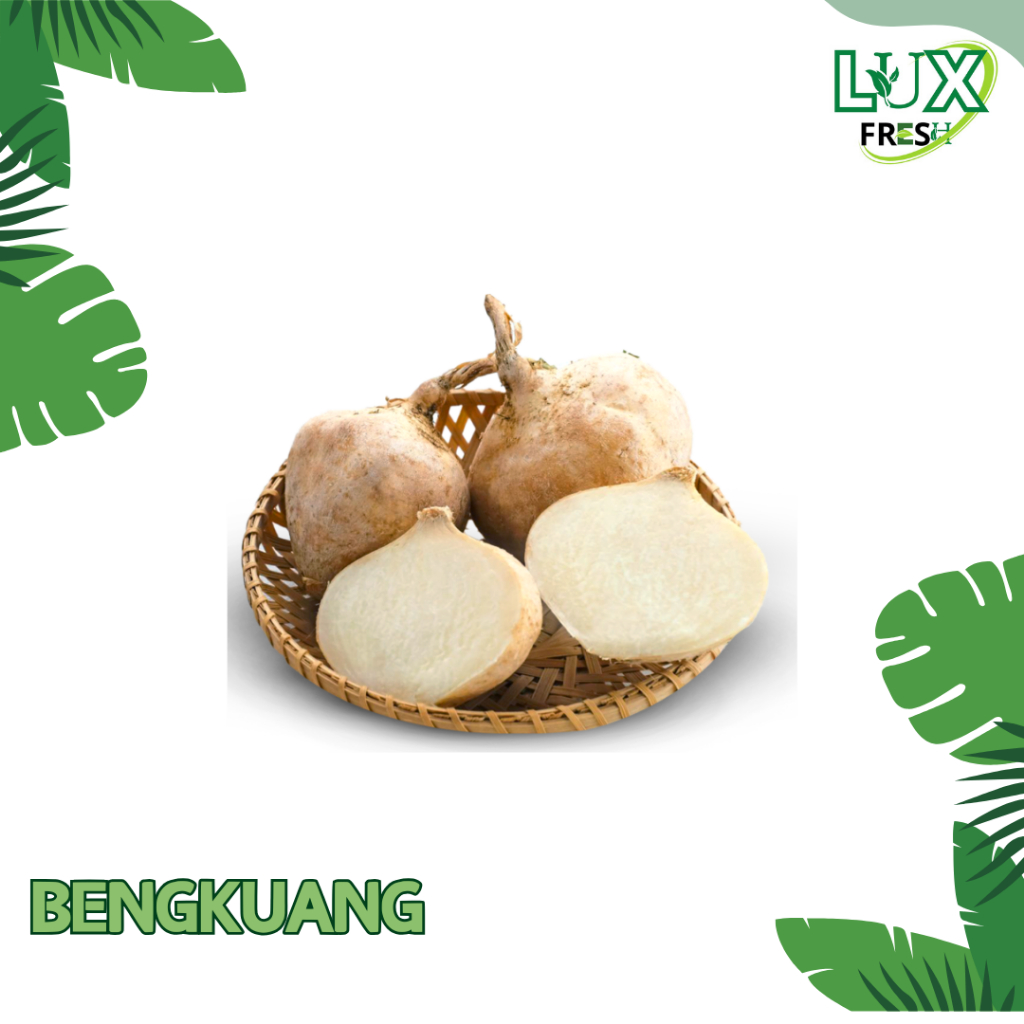 

BENGKUANG 1 KG BEST SELLER