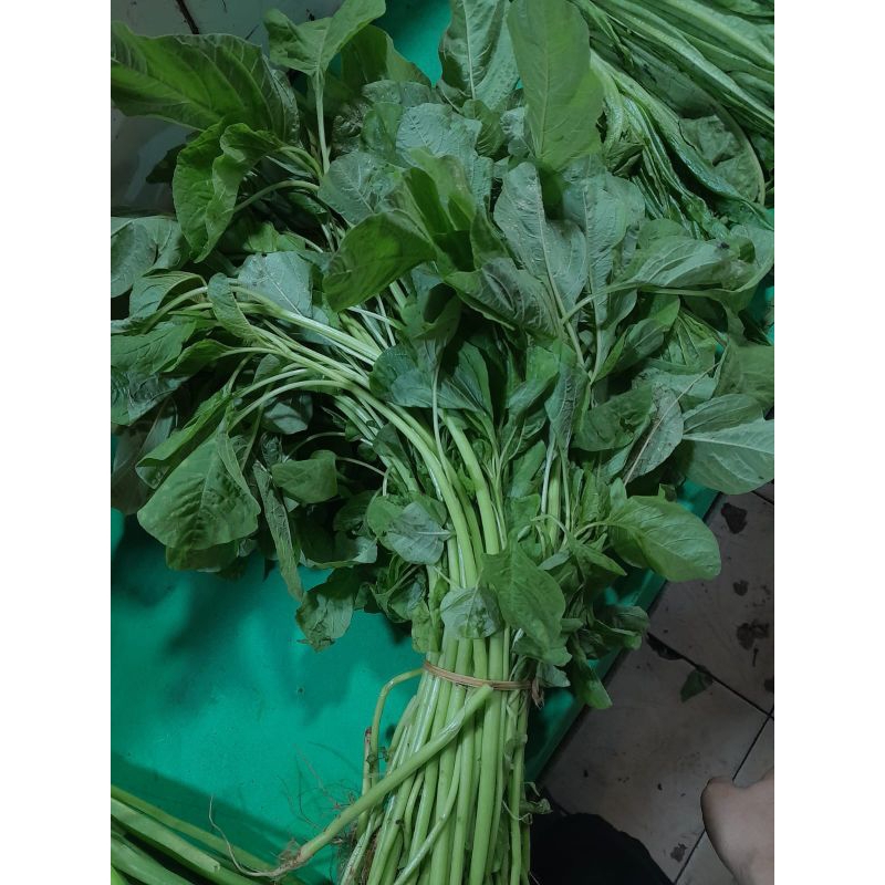 

sayur bayam segar 1ikat