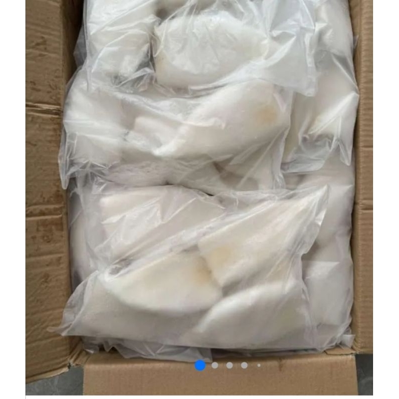 

Cumi tube segar beku 1 kg
