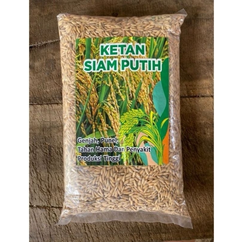 

OBRAL MURAH!!!1kg BENIH PADI KETAN SIAM PUTIH BERKUALITAS