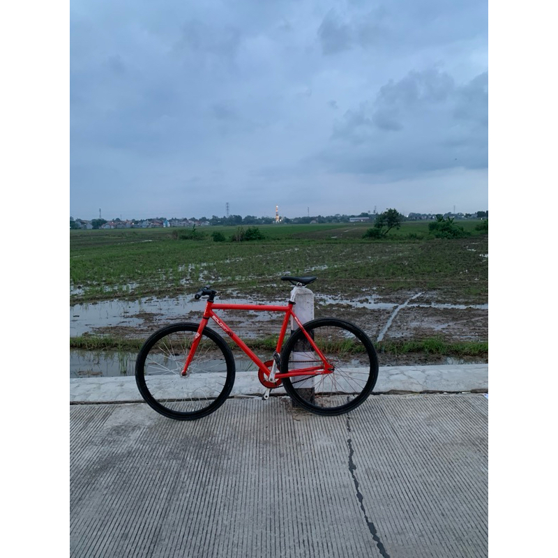 FIXIE UNITED SOLOIST 71