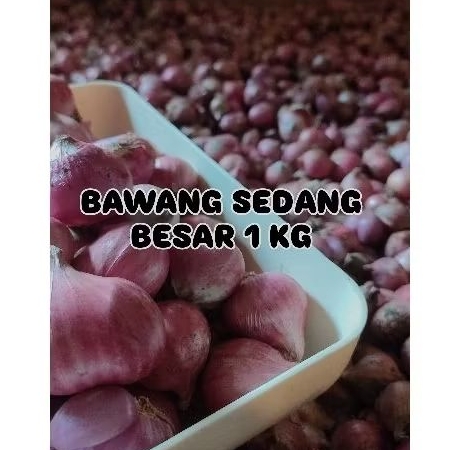 

Bawang Merah Sedang
