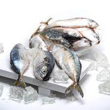 

Ikan Banjar/Kembung Banjar