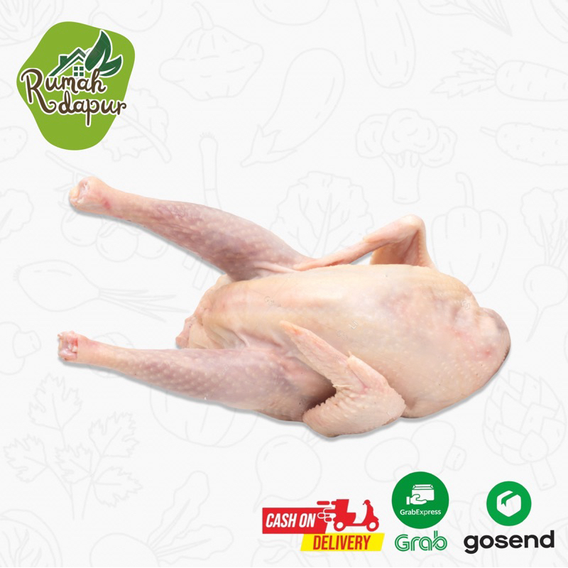 

AYAM TELUR / AYAM SOTO SEGAR / PER EKOR