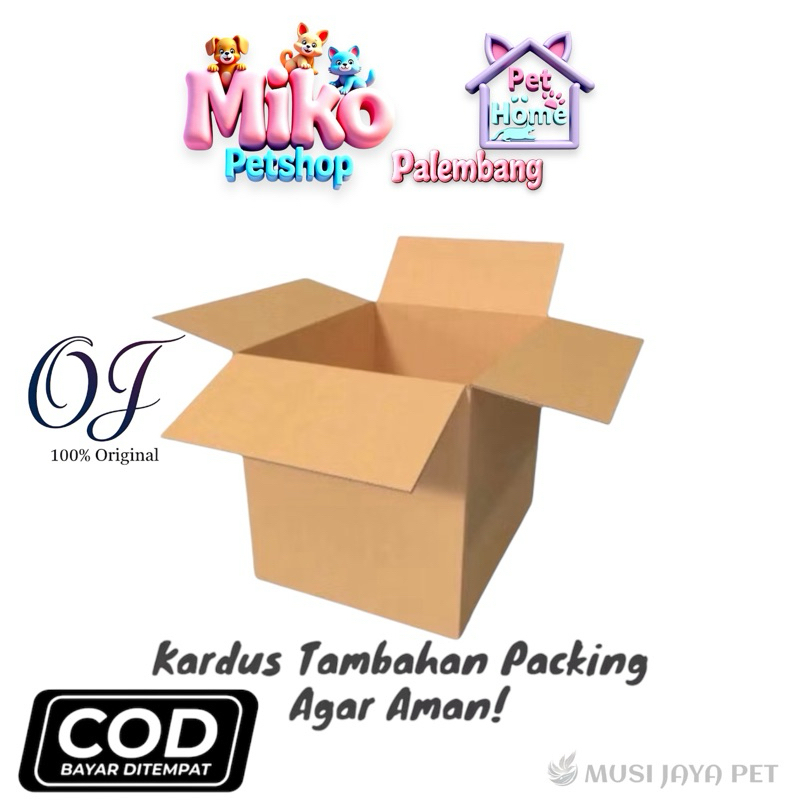 

Kardus Ekstra Packing