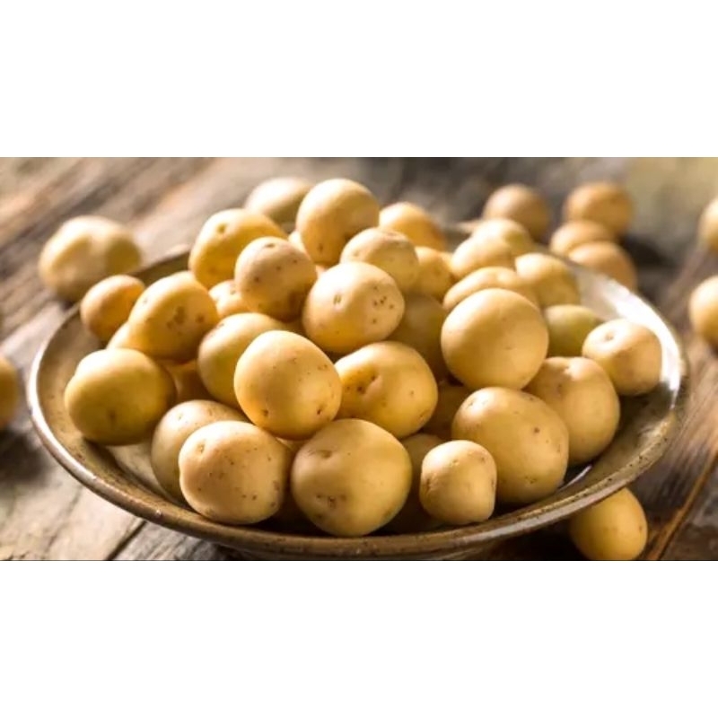 

BABY POTATO BAYI KENTANG PILIHAN