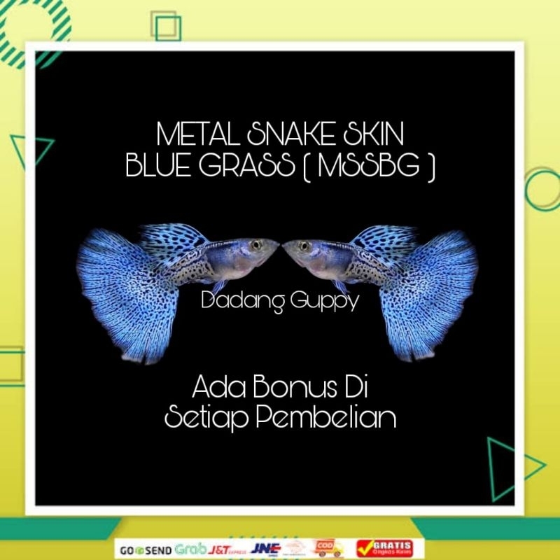 

Packing Styrofoam ( Metal Snake Skin Blue Grass )