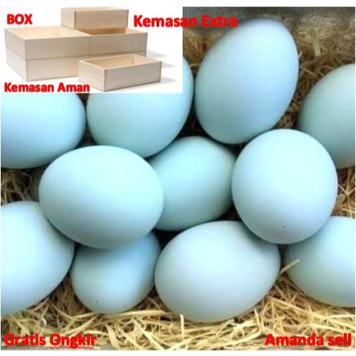 

Telur bebek mentah murah Langsung dari kandang gratis packing BOX aman