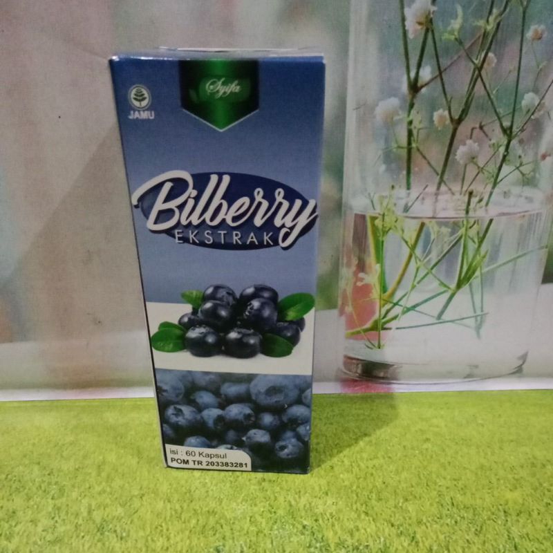 

Bilberry Ekstrak