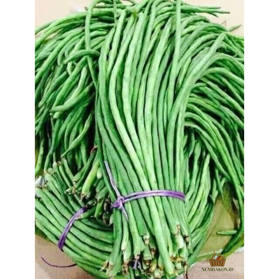 

INSTAN - KACANG PANJANG HIJAU SEGAR | KACANG PANJANG