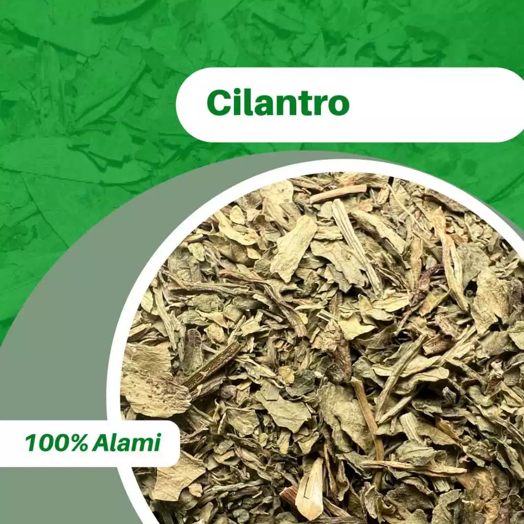 

Daun Cilantro Repack 25gr