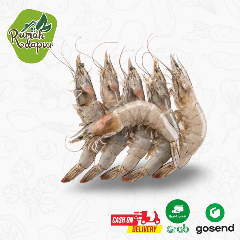 

UDANG SEGAR / 500 Gram