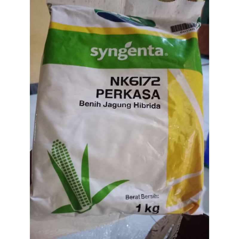 benih jagung NK 6172 PERKASA syngenta