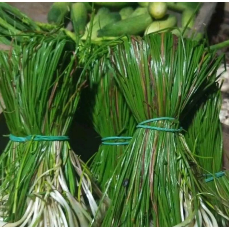 

Sayur Bawang Kuncai 200gr