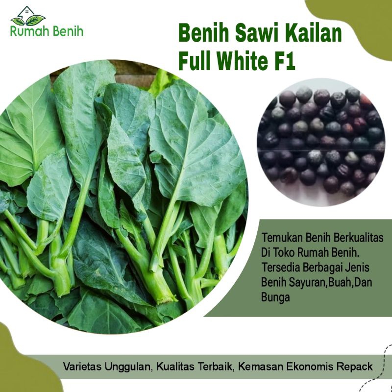 Benih Sawi Kailan Full White F1 / Bibit Benih Sayuran Sawi Kailan / Biji Benih Sawi Kailan / Benih S
