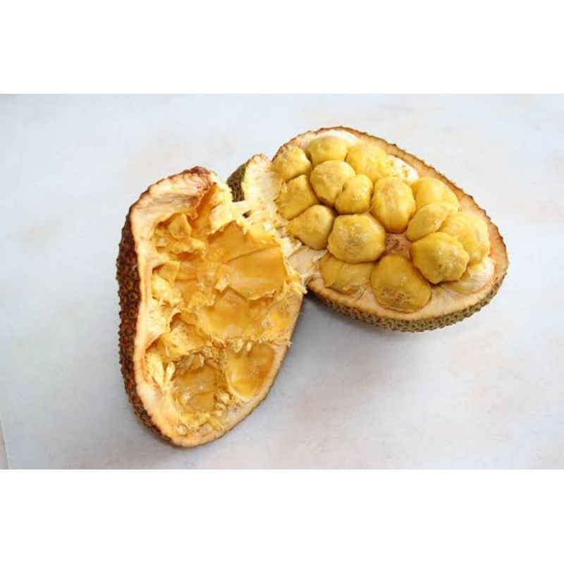 

Buah Tiwadak / Buah Ciwadak Khas Kalimantan