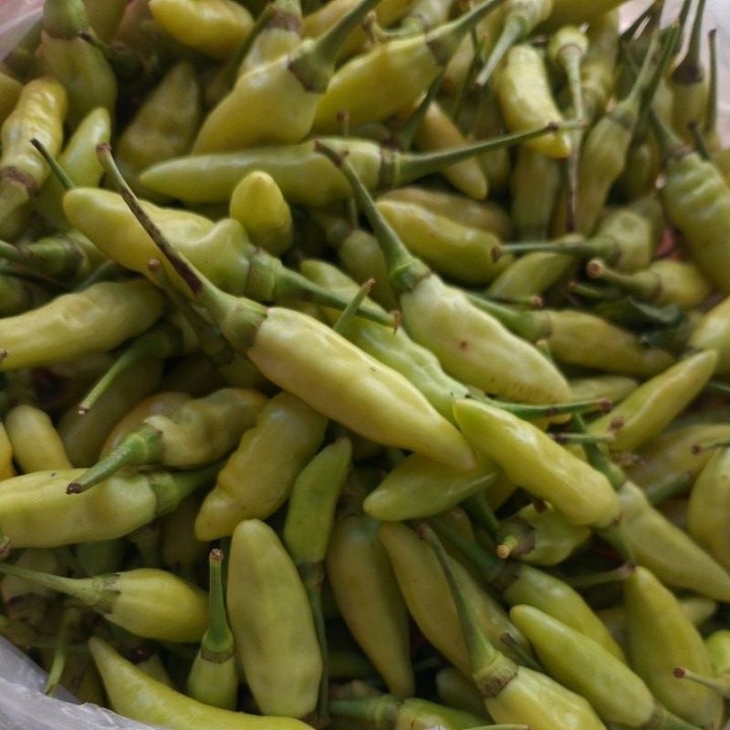 

rawit putih/rawit jawa 100gr
