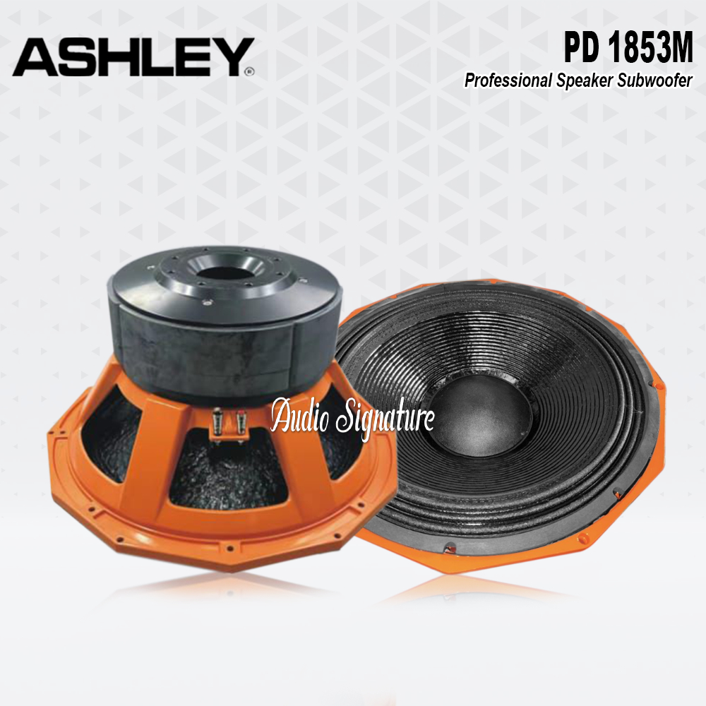 Komponen Speaker 18 Inch ASHLEY PD.1853 | PD 1853 | PD1853 Triple Magnet Original
