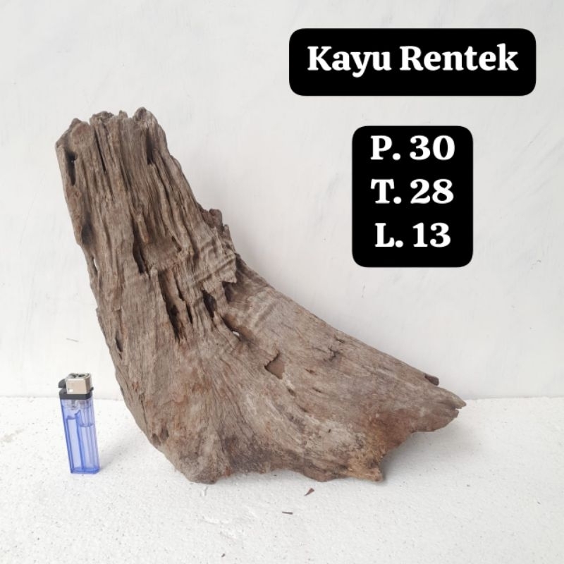 Kayu Aquascape - Kayu Rentek
