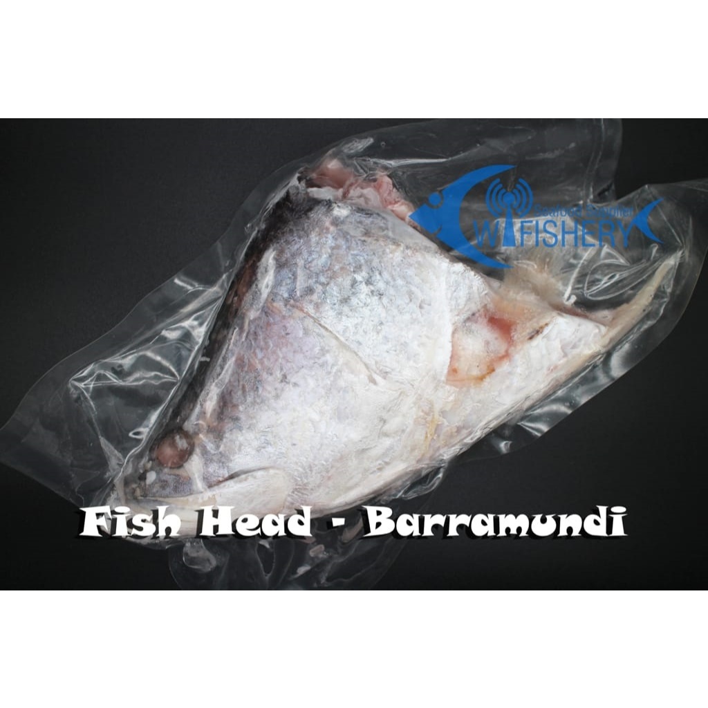 

Kepala Ikan Baramundi Utuh Bersih (WC)