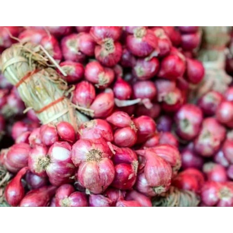 

BAWANG MERAH SUPER BESAR KUALITAS SUPER KERING ISI 500GR