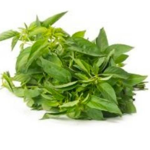 

Daun kemangi segar 100gr