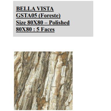 NIRO GRANITE BELLA VISTA POLISHED GSTA05 FORESTE 80X80