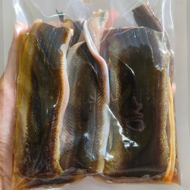 Belut Fillet | Ikan Belut Fillet 250gr
