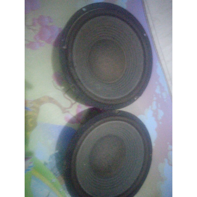 speaker woofer 10 inch  impor