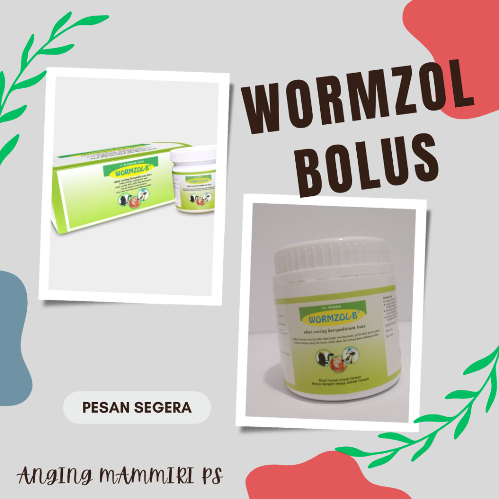 WORMZOL-B (BOLUS 10 - Obat cacing berspektrum luas)