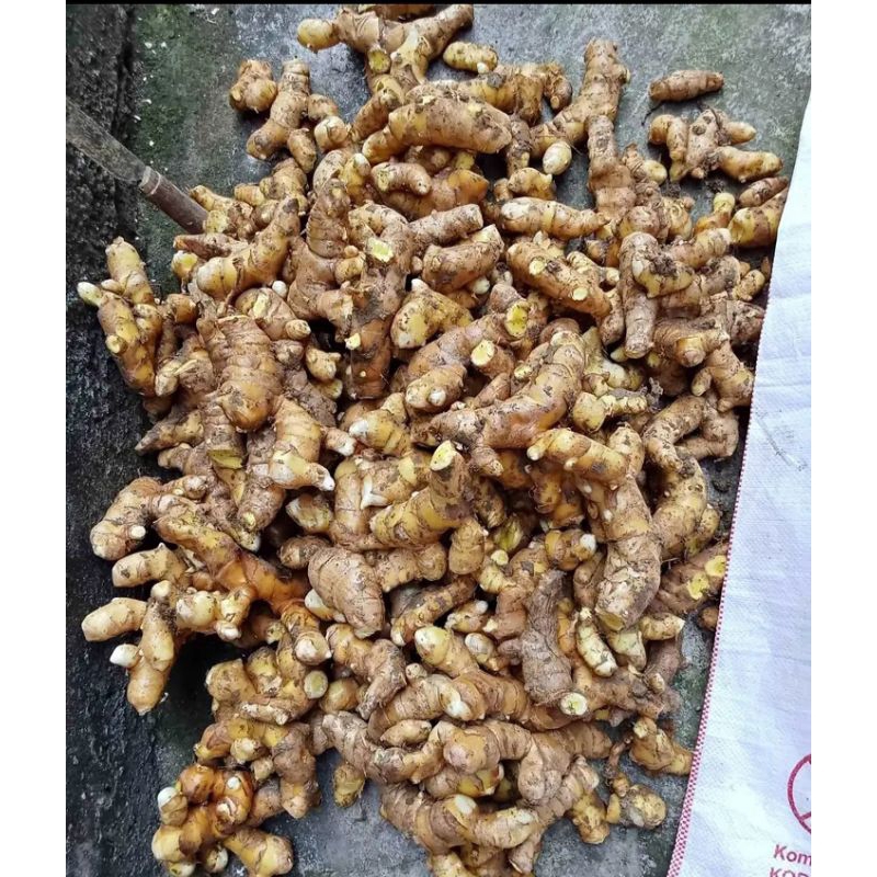 

Temulawak segar 1 kg