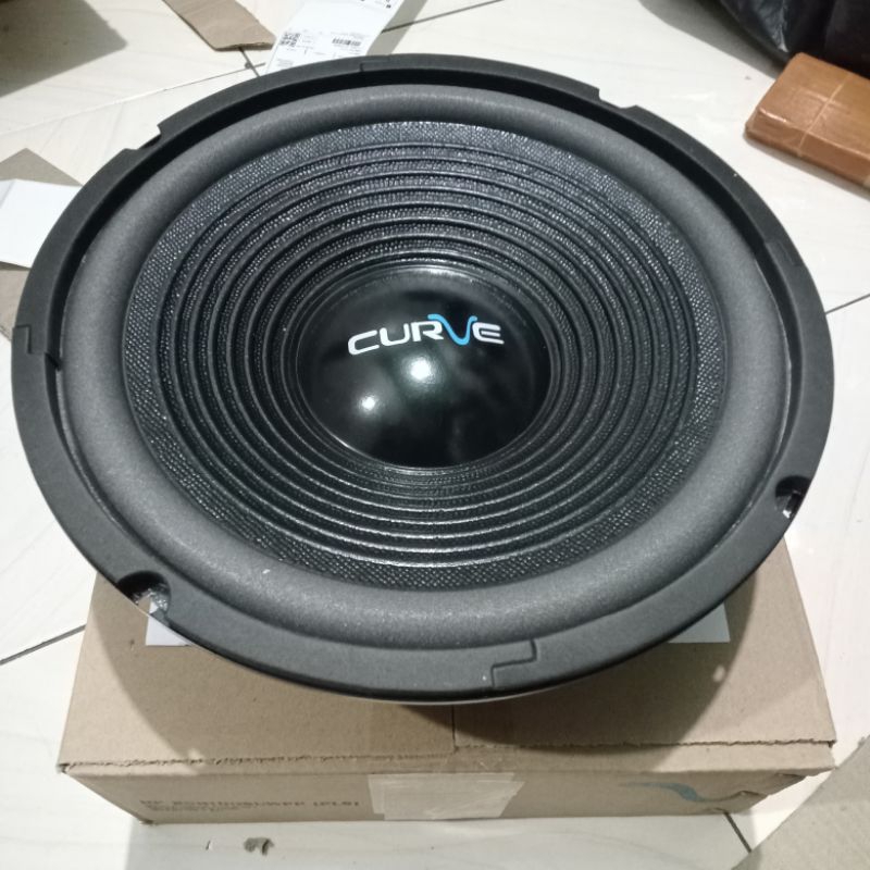speaker woofer curve 10 inch termurah