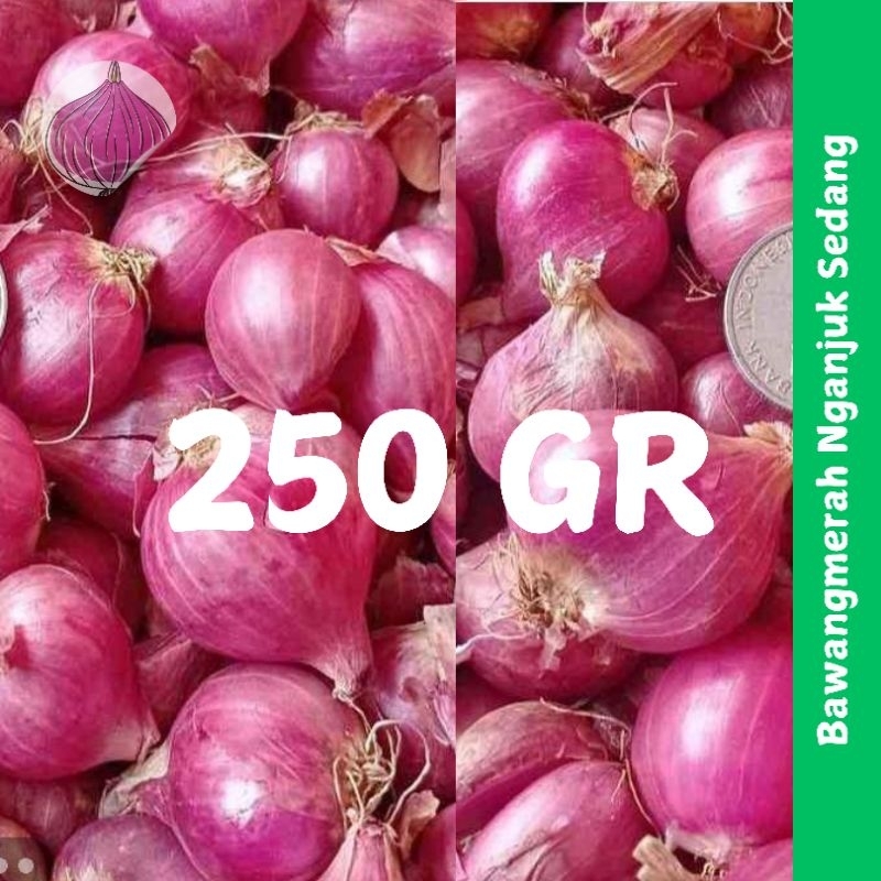 

Bawang Merah [ 250gr ] Bawang Merah Nganjuk Ukuran Sedang/Bawang Merah Murah